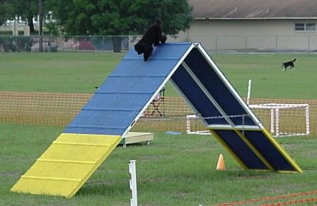 Tzar Jumping